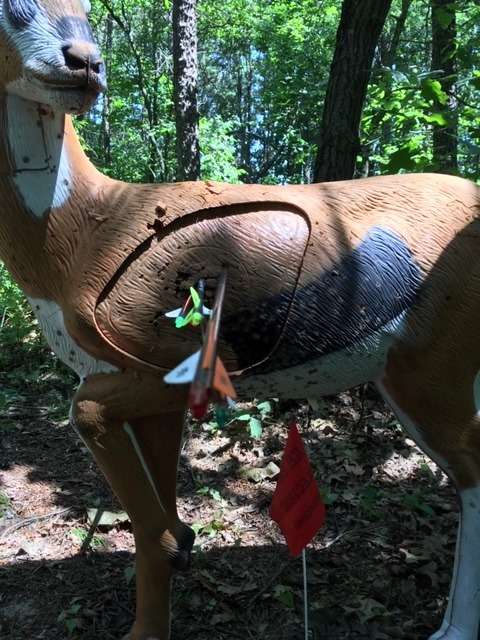 Josie Creek Archers